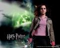 hermione-granger - Wallpaper wallpaper