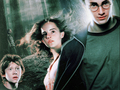 hermione-granger - Wallpaper wallpaper