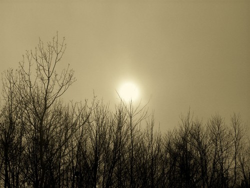  Winter Sun