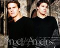 Angel/Angelus - buffy-the-vampire-slayer photo