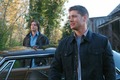 No rest for the wicked (promo) - supernatural photo
