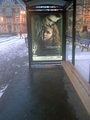 Poster at a bus stop in Poland 2009 - twilight-series photo