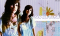 Sophia♥ - sophia-bush fan art