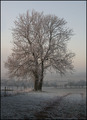 oblix's winter times  - photography photo