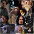 Collage - harry-potter photo