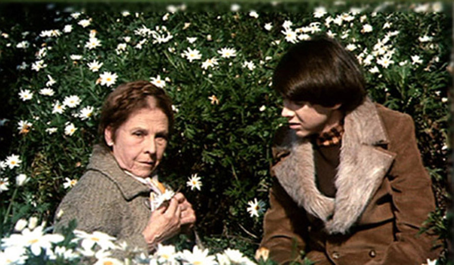 Sorry, Harold and Maude closed on 12 May 2018