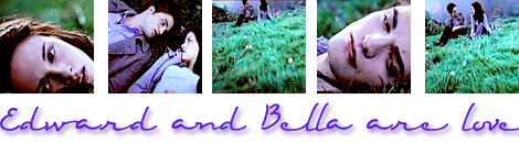  Edward & Bella are l’amour Banner