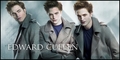 Edward Cullen Header - twilight-series fan art
