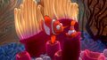 finding-nemo - Finding Nemo screencap