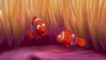 Finding Nemo - finding-nemo screencap