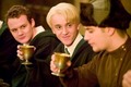 Goyle, Draco & Krum - harry-potter photo