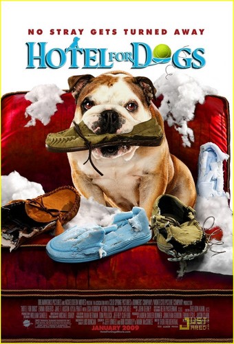  Hotel for Anjing