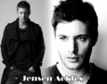 Jensen - jensen-ackles fan art
