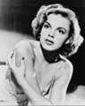 Judy Garland Photo - classic-movies photo