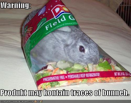  May contain treaces of bunny ^^