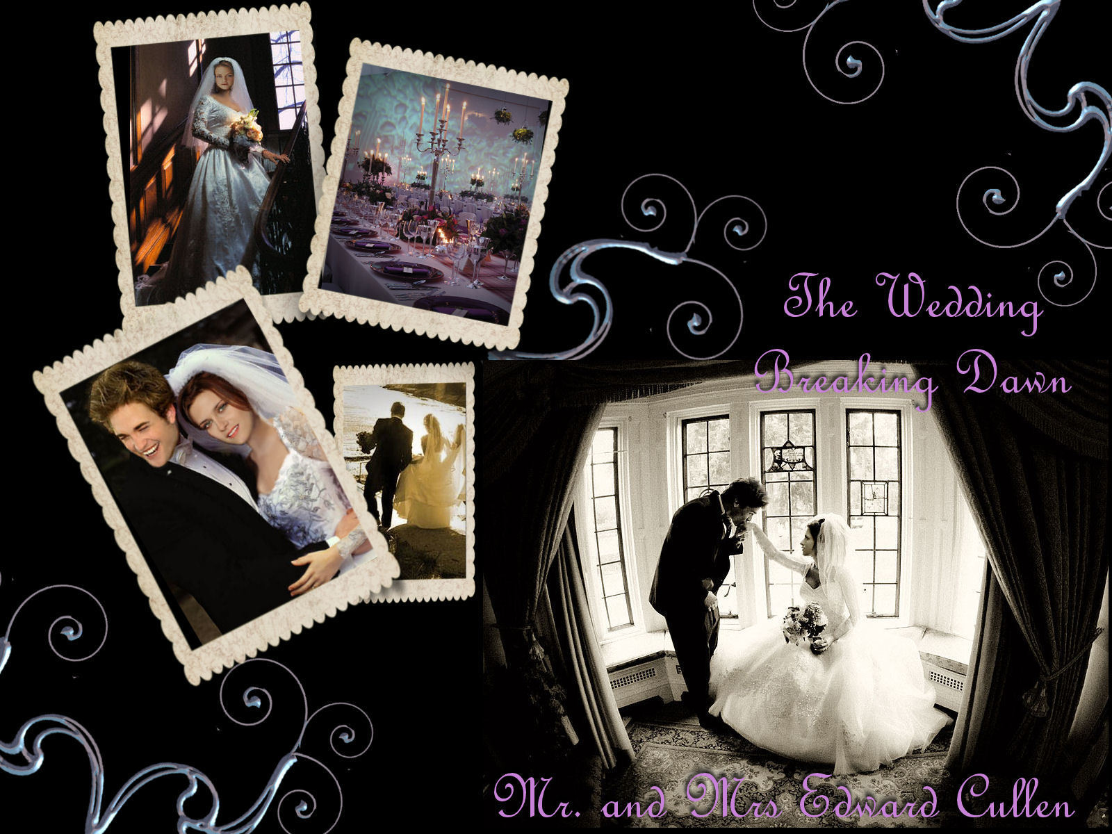 adventures in historical fiction  twilight breaking dawn