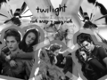 twilight-movie - Twilight  wallpaper