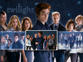 twilight-movie - Twilight  wallpaper