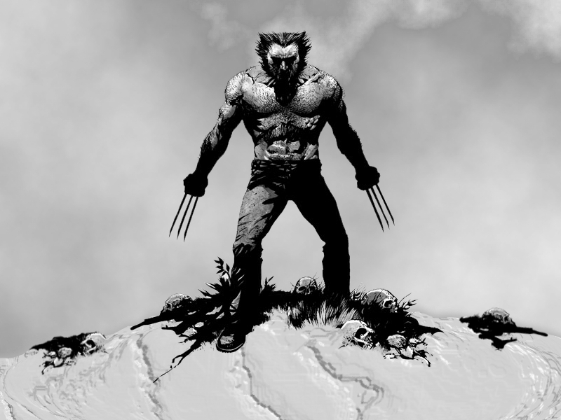 Wolverine Wallpaper - Wolverine Wallpaper (3508345) - Fanpop