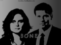 BONES - bones wallpaper