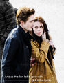 Edward y Bella - twilight-series photo