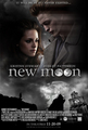 Fan Made- New Moon Posters - twilight-series fan art
