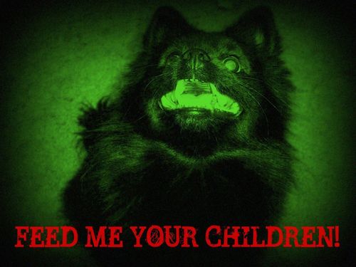  Feed your dog, or else