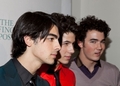 Jonas Brothers The Huffington Post Pre-Inaugural Ball in Washington - the-jonas-brothers photo