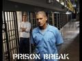 Prison Break  - prison-break fan art