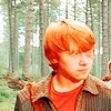 images2.fanpop.com/images/photos/3600000/Ron-Weasley-Icons-ronald-weasley-3660452-100-100.jpg