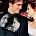 Twilight Premiere - twilight-series icon