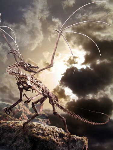  Dragon skeleton por Ahyicodae