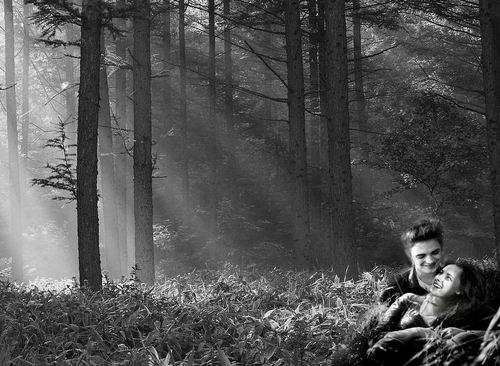  Edward and 벨 grassy forrest