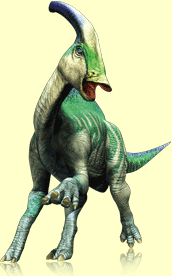  Parasaurolophus