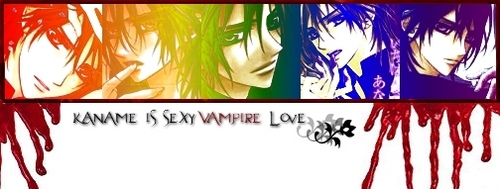  Vampire Knight (Banner)