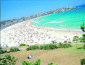 Bondi Beach - australia photo