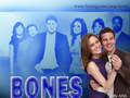 Booth&Brennan - bones wallpaper