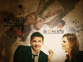 bones - Booth & Brennan wallpaper