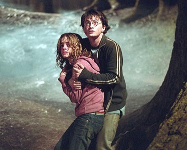 Harry And Hermione