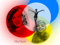 marilyn-monroe - Marilyn Monroe wallpaper