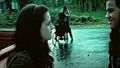 twilight-series - Twilight   screencap