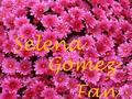 selena-gomez - selenafloweredwalgomezfan wallpaper