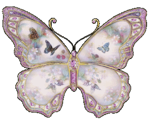  Animated Butterfly,click on to see her sparkle