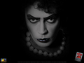 the-rocky-horror-picture-show - Rocky Horror Picture Show wallpaper