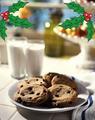Santa's Milk and cookies - christmas photo