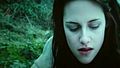 Twilight - twilight-series screencap