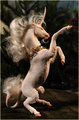 Unicorn Sculpture by Forest Rogers - unicorns photo