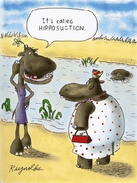  Hippo funny