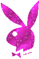 Playboy Bunny - playboy photo