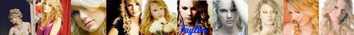  Taylor snel, swift Banner Suggestions